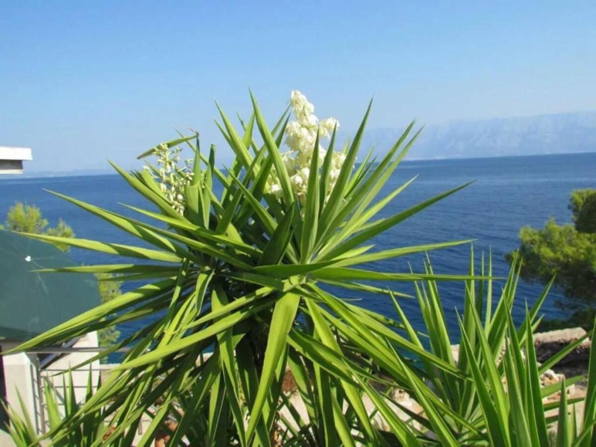 Holiday House Jakov Gdinj المظهر الخارجي الصورة