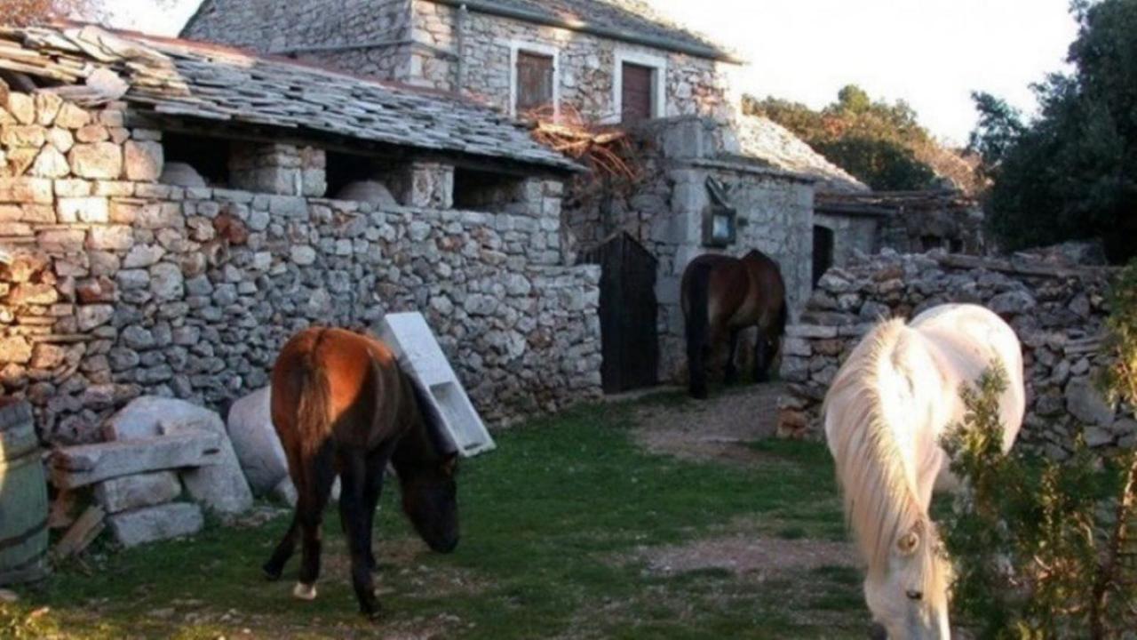 Holiday House Jakov Gdinj المظهر الخارجي الصورة